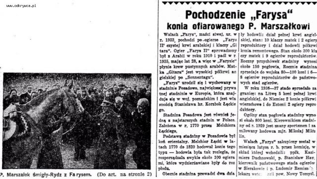 k_slawne_konie.jpg&x=800