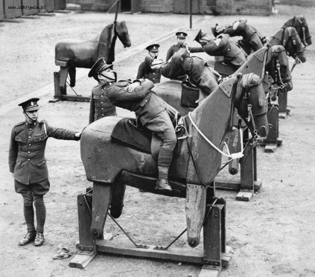 konik0.jpg&x=800