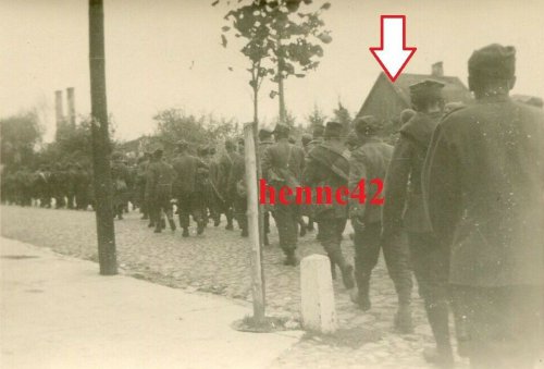 Polen Zambrów Kolonne polnischer Gefangene '39.jpg