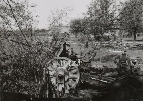 Polen 1939 v.Krakau Geschütz Kanone Tarn Camo Pak Artillerie.jpg