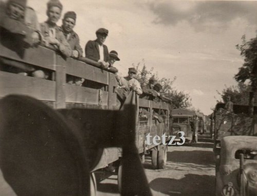 Polen 1939 v.Zamość Transport Flüchtlinge POW Einheimische Gefangene.jpg