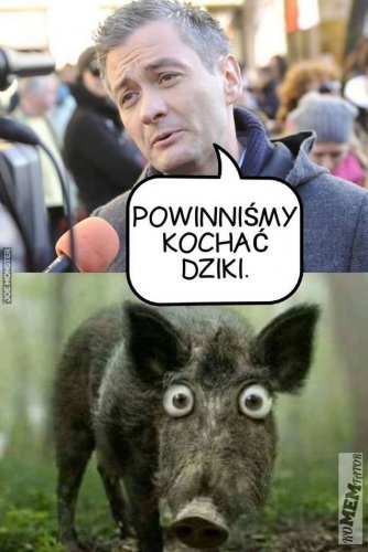 01_to_wielkie_zagrozenie_dla_dzikow.jpg