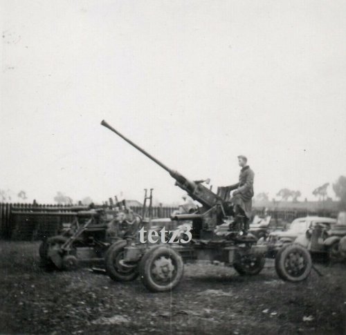 Polen 1939 b. Tarnow Geschütz Kanone Pak Flak Beute.jpg