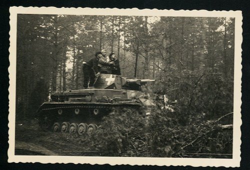 Panzer durch den Wald Polen.jpg