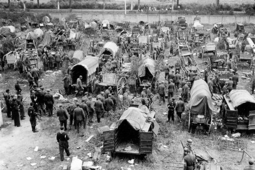 German Soldiers Captured by the US 7th Army in France 1944.jpg