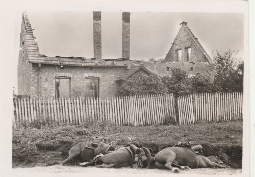 Polenfeldzug,zerstörtes polnisches Haus, tote Pferde, Wehrmacht.jpg