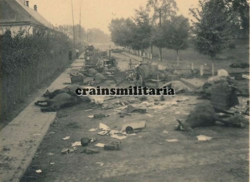 zerstörte polnische Kolonne Pferd b. JASLO Polen 1939.jpg