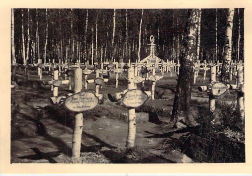 Heldenfriedhof Anissowo-Goroditsche Gedenktafel aus Birkenh_0.jpg