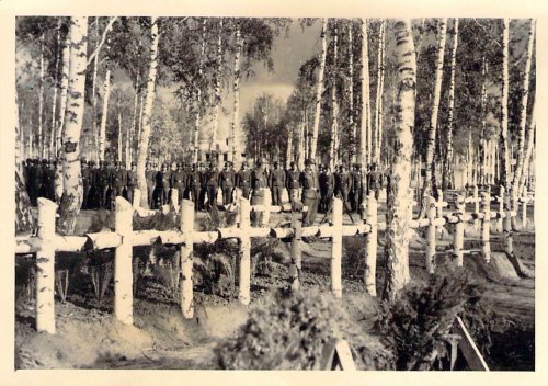 Heldenfriedhof Anissowo-Goroditsche Gedenktafel aus Birkenh_2.jpg