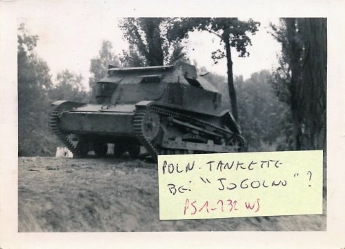 klein Panzer bei JOGOLNO_0.jpg