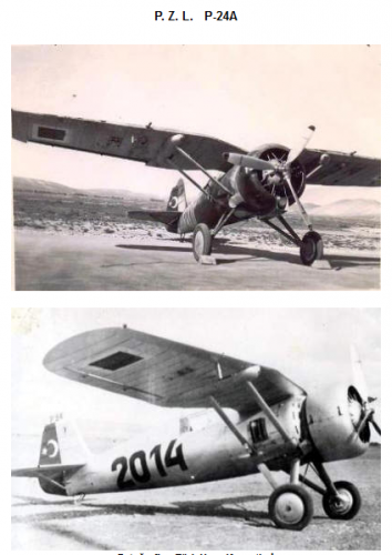 Turecki PZL 24 A.png