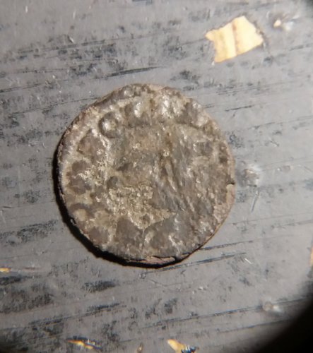 moneta nr2-1.jpg