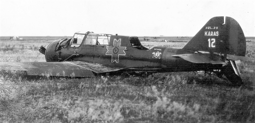 rumuński PZL P.23.png