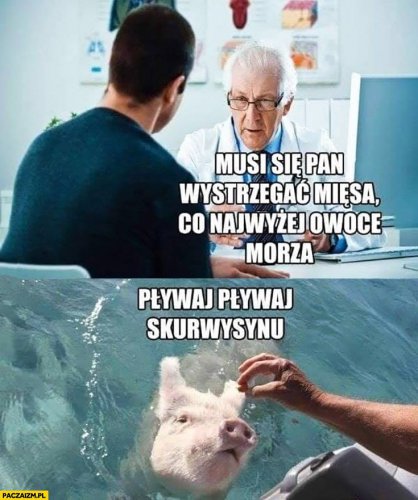 lekarz-musi-sie-pan-wystrzegac-miesa-co-najwyzej-owoce-morza-swinia-plywaj-plywaj.jpg