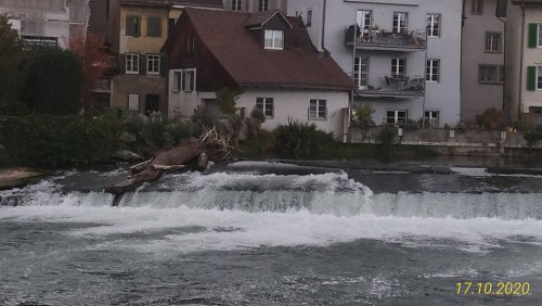 Bremgarten 249.jpg