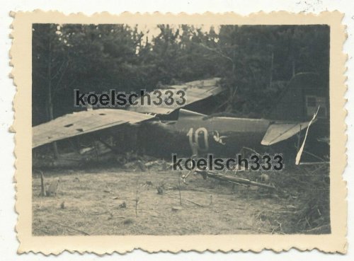 polnisches Flugzeug Wrack in einem Wald in Polen 1939.jpg