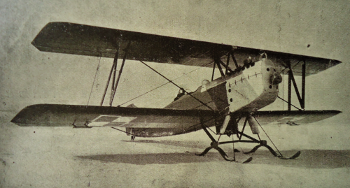 Bartel BM - 5a - prototyp na nartach,  1929 r..png