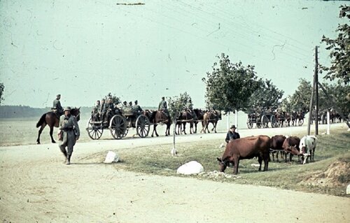 German mounted Poland 1939 cow march.jpg