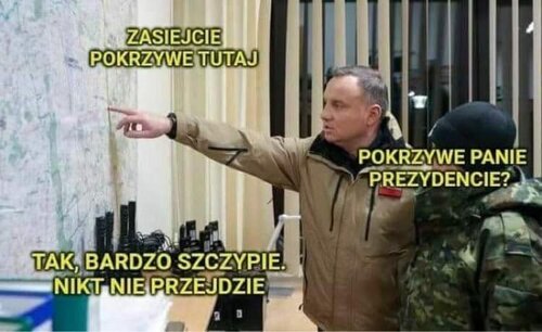 pokrzywa1.jpg