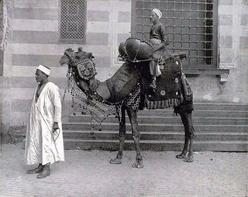 egipt 1893.jpg