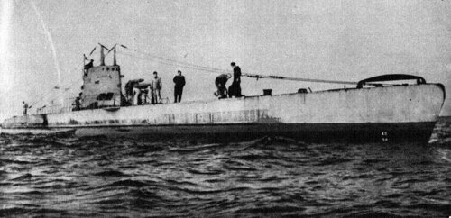 rys 49r.JPG