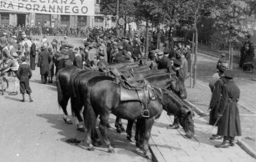 policja konna.JPG