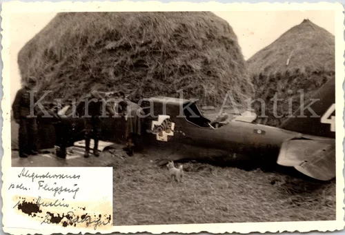 Polen Feldzug Beute Flugzeug plane Emblem Tiger Nummer. 4498.webp