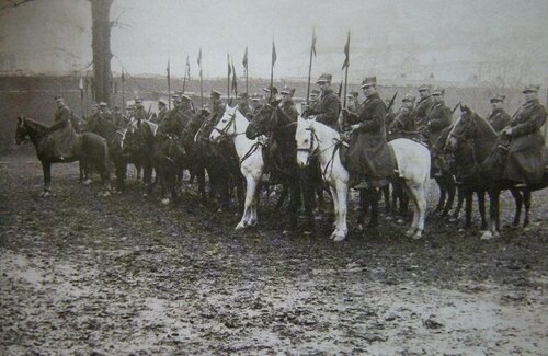 krakus w kosz 1szwol.JPG