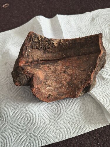 IMG_20250506_154002445_HDR_Easy-Resize.com.jpg