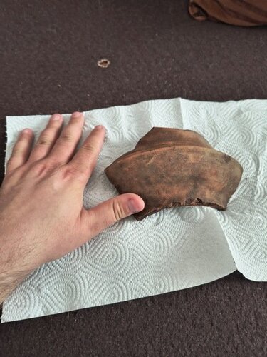 IMG_20250506_154109112_HDR_Easy-Resize.com.jpg