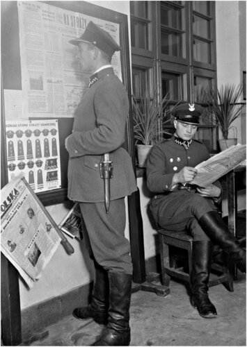 kosz bat stolpce.jpg