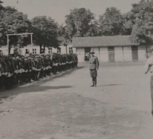 49pp kosz12.JPG
