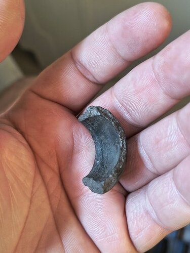 IMG_20250622_063055324_HDR_Easy-Resize.com.jpg