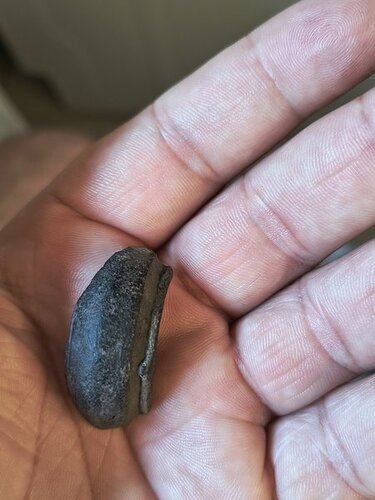 IMG_20250622_063126350_HDR_Easy-Resize.com.jpg