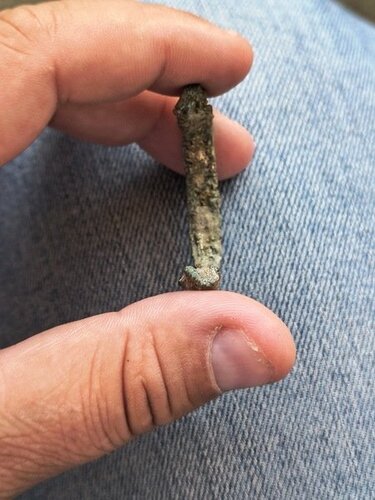 IMG_20250625_192924489_HDR_Easy-Resize.com.jpg