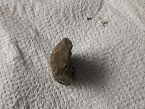IMG_20250628_165916049_HDR_Easy-Resize.com.jpg