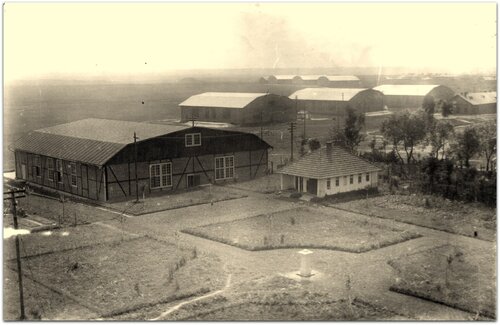 lot sknilow.jpg
