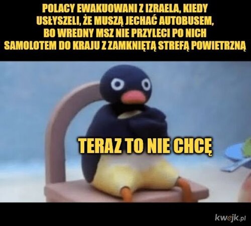 sTEV9ZXCDdTsP9rx.jpg