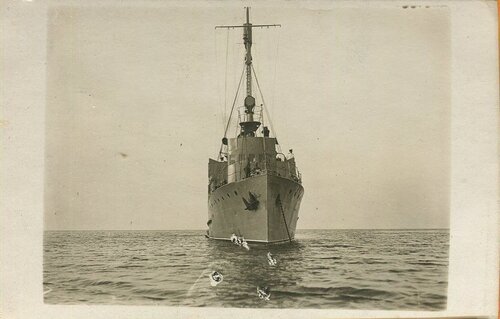tralow czajka.jpg