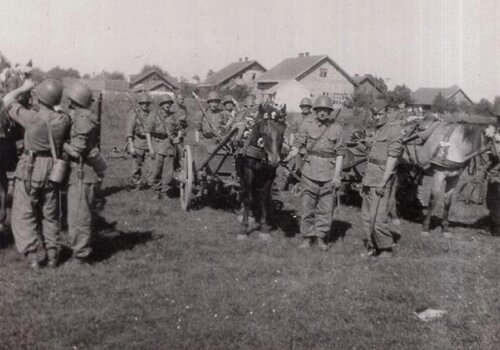 49pp cwicz1.JPG