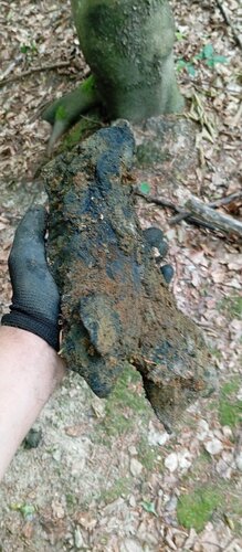 IMG_20250705_103311.jpg