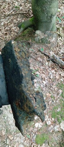 IMG_20250705_103321.jpg