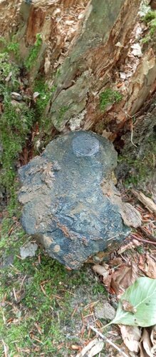 IMG_20250705_104913.jpg