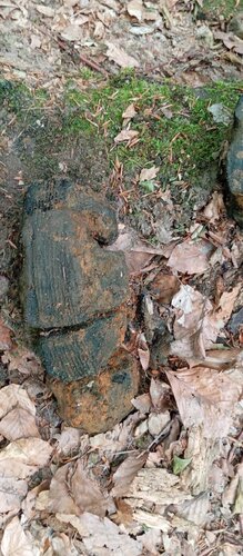 IMG_20250705_120912.jpg