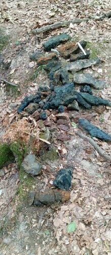 IMG_20250705_125514.jpg