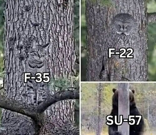 maskowanie.jpg