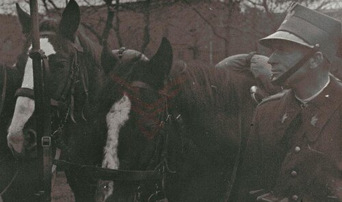 pchor piotr baran pol 1939 zamojszcz.JPG