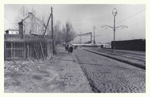 zoska kinga.jpg
