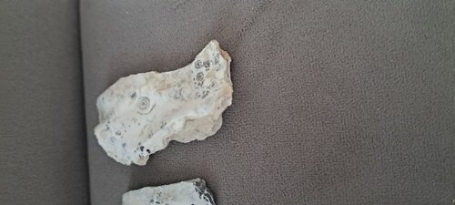 20250825_100555.jpg