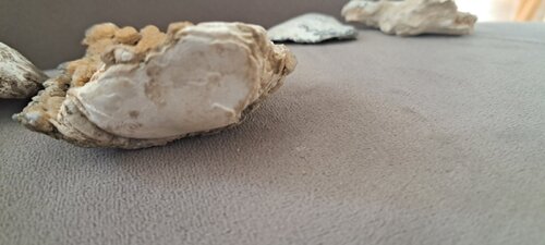 20250825_100618.jpg